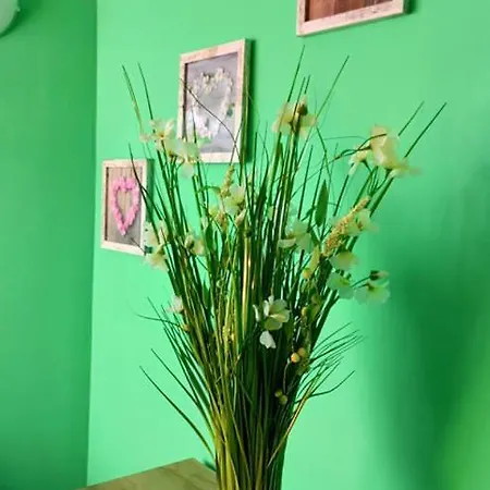 Amadeus 5 , Green Studio Sunny Beach